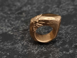 Erode 1 Ring | Bronze